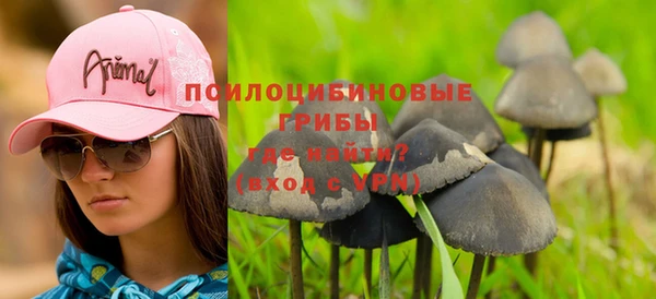 прущий лед Алексеевка