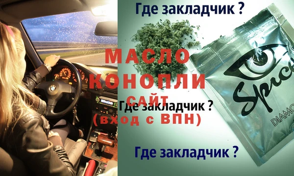ГАЛЛЮЦИНОГЕННЫЕ ГРИБЫ Дмитриев