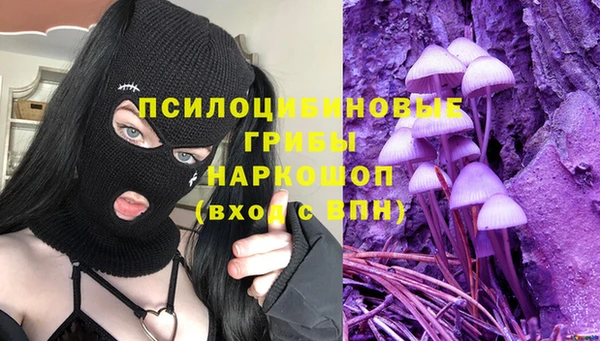 прущий лед Алексеевка