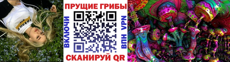 Псилоцибиновые грибы MAGIC MUSHROOMS  Черноголовка 